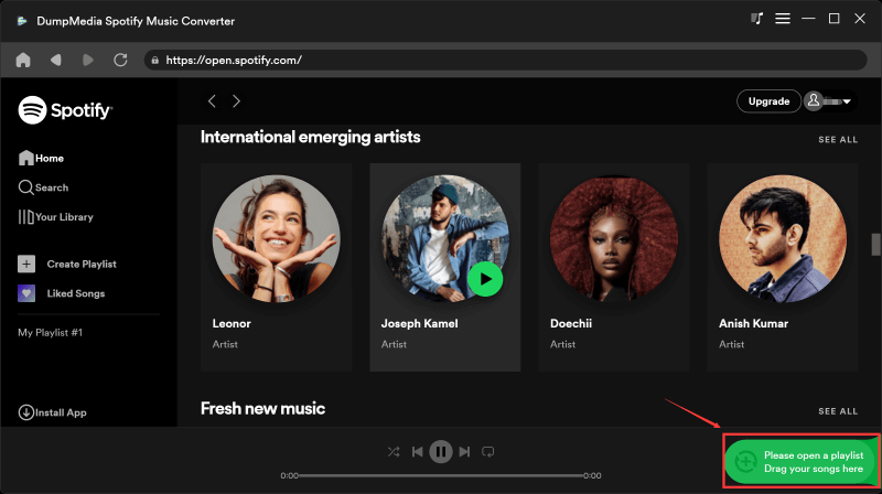 Select the Spotify Music to Convert