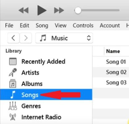 Select Songs on iTunes Library Page