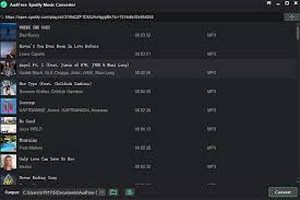 Sessiz Spotify Music converter