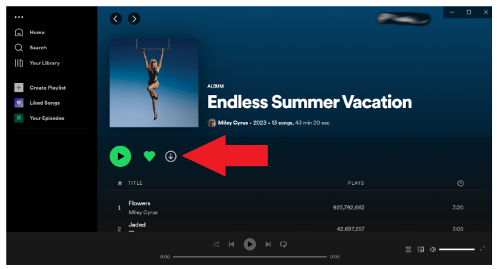 Herunterladen Spotify Lieder auf dem Desktop