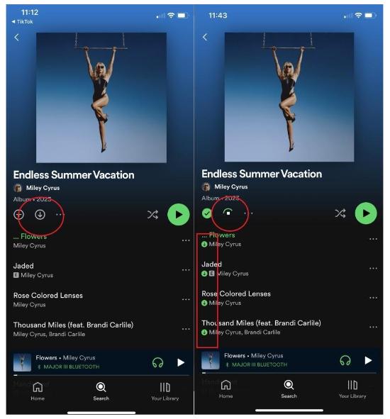 İndir Spotify Mobil Cihazdaki Şarkılar