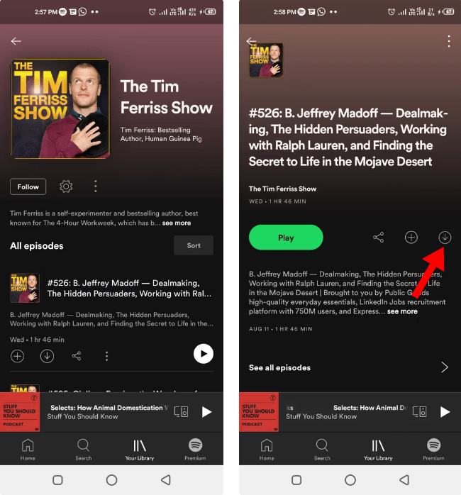 Scarica Podcast su Spotify Mobile