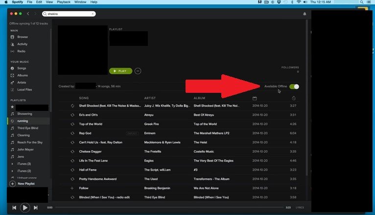 Playlist offline verfügbar machen